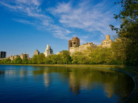 green trees beside river under blue sky during daytime