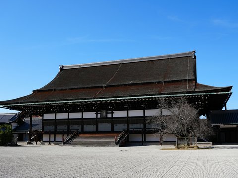 a large building with a tree in front of it