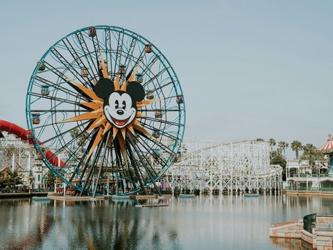ferris wheel near body of water during daytime
