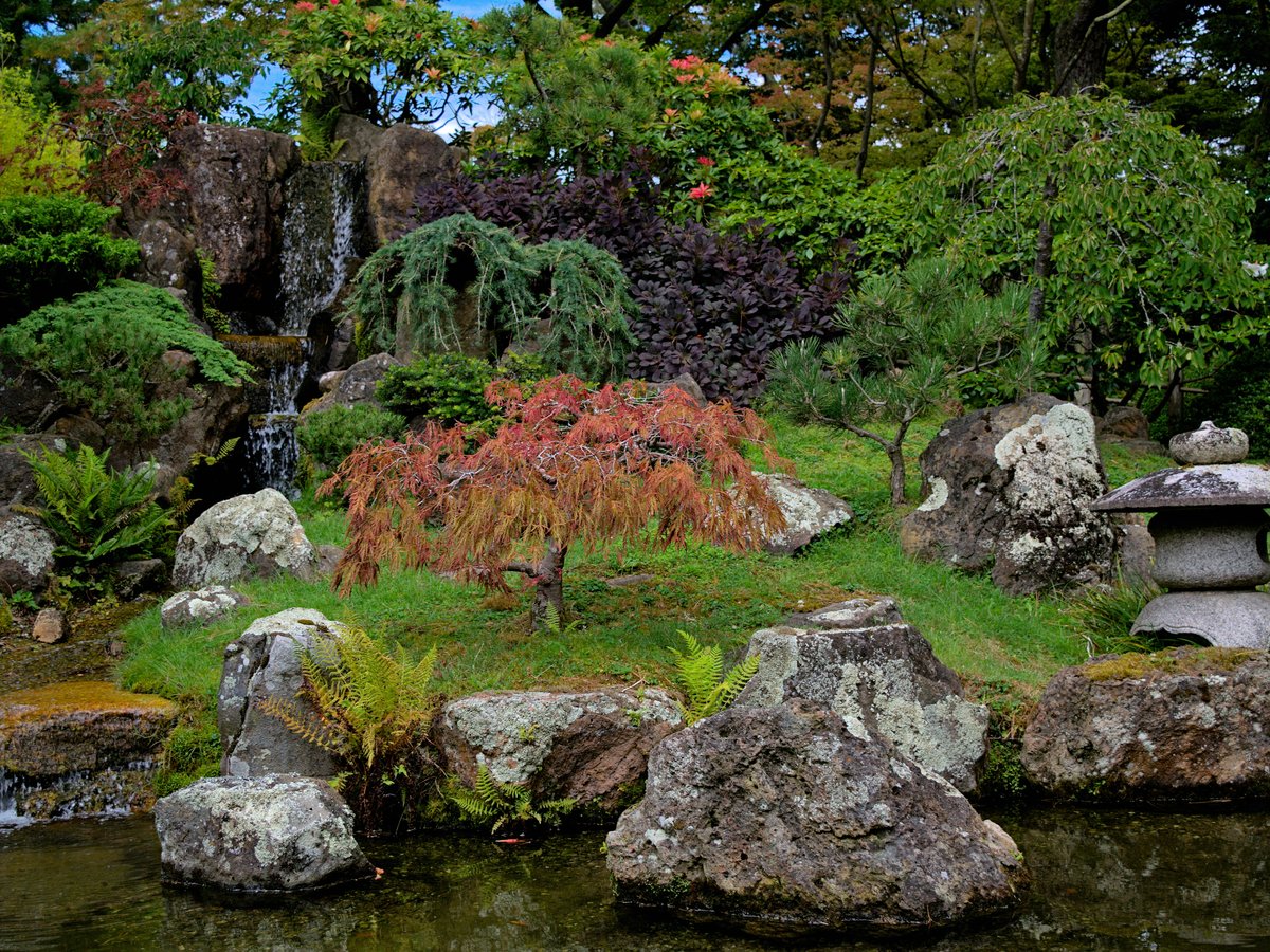 a small pond surrounded by rocks and plants