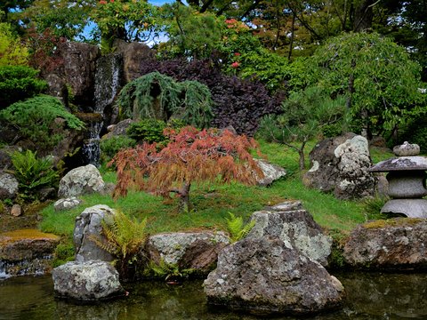 a small pond surrounded by rocks and plants