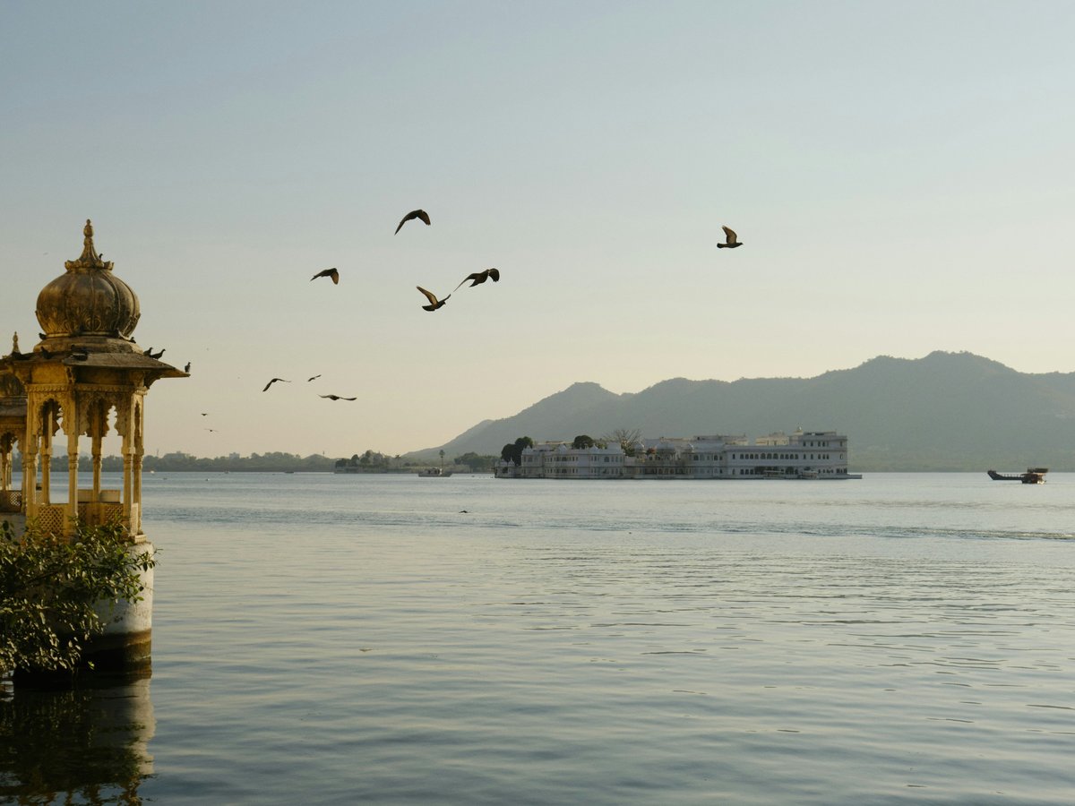 a flock of birds flying over a body of water