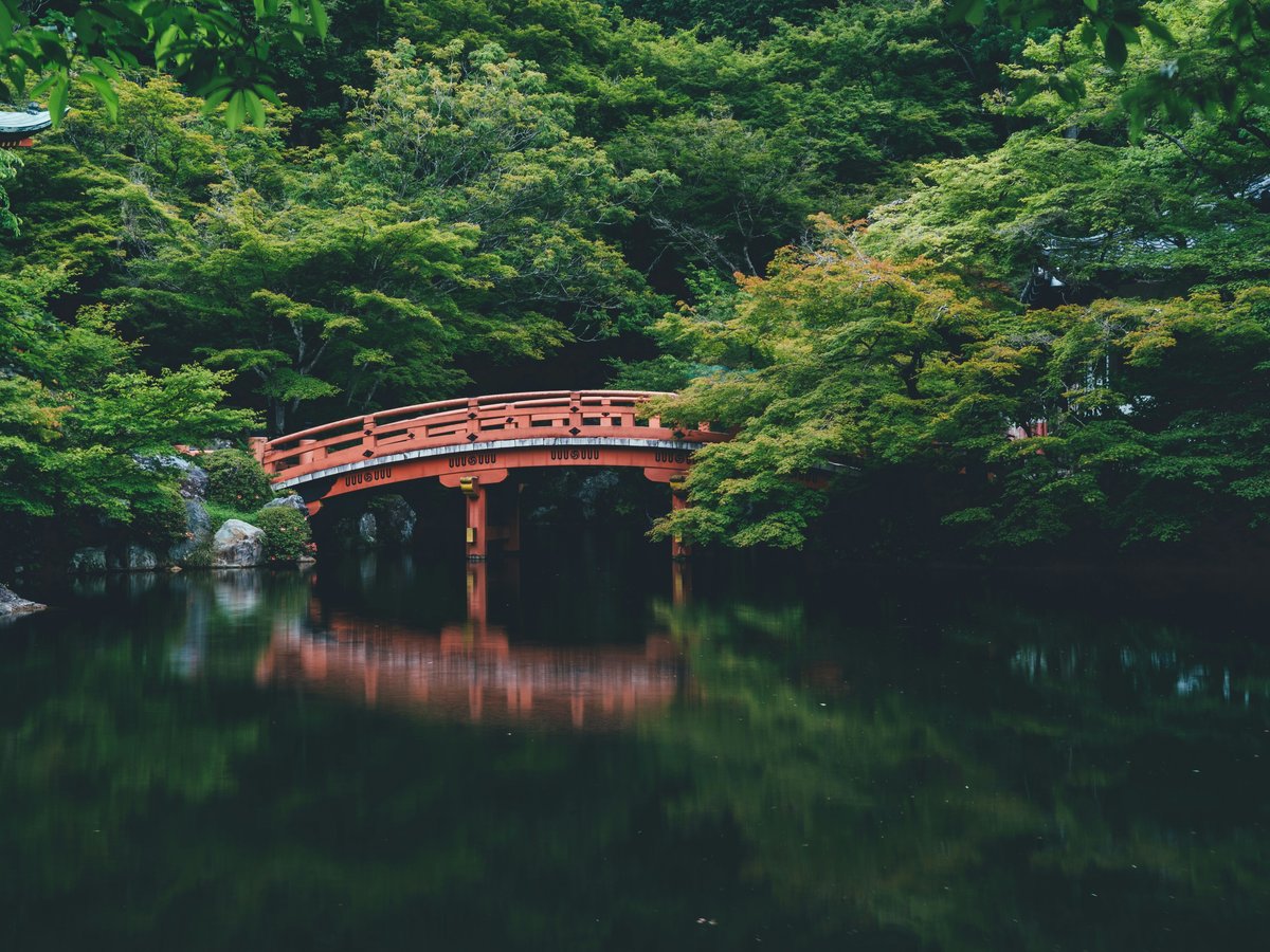 red bridge near trees
