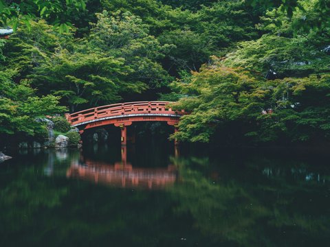 red bridge near trees
