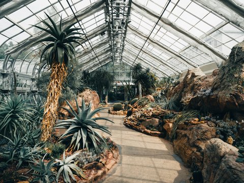 a large greenhouse filled with lots of plants