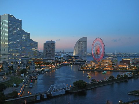 a ferris wheel in the middle of a city
