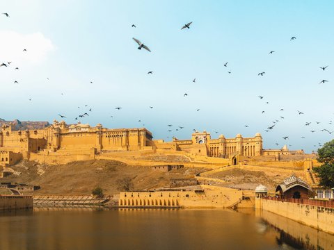 birds flying over river during daytime