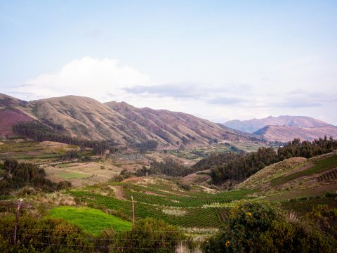 a view of a valley with mountains in the background