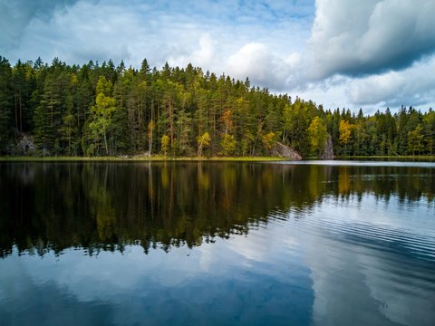 green trees beside body of water under white clouds and blue sky during daytime