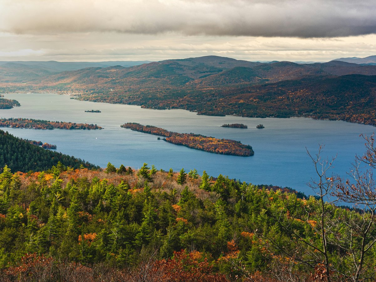 green trees near body of water during daytime