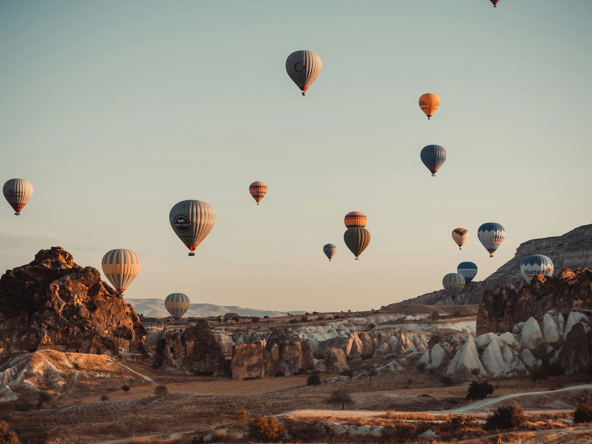 hot air balloons in the sky during daytime