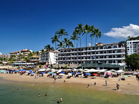 Tropical beach resort with palm trees and ocean