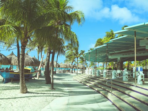 green palm trees near white and blue building during daytime