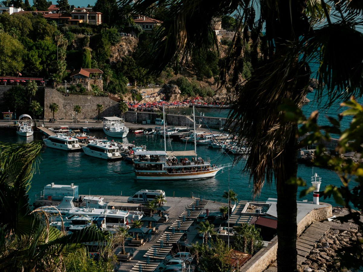 A harbor filled with lots of boats next to a lush green hillside