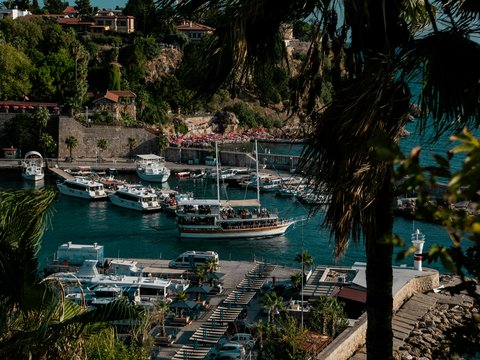 A harbor filled with lots of boats next to a lush green hillside