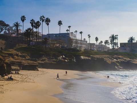 a couple of people walking along a beach next to the ocean