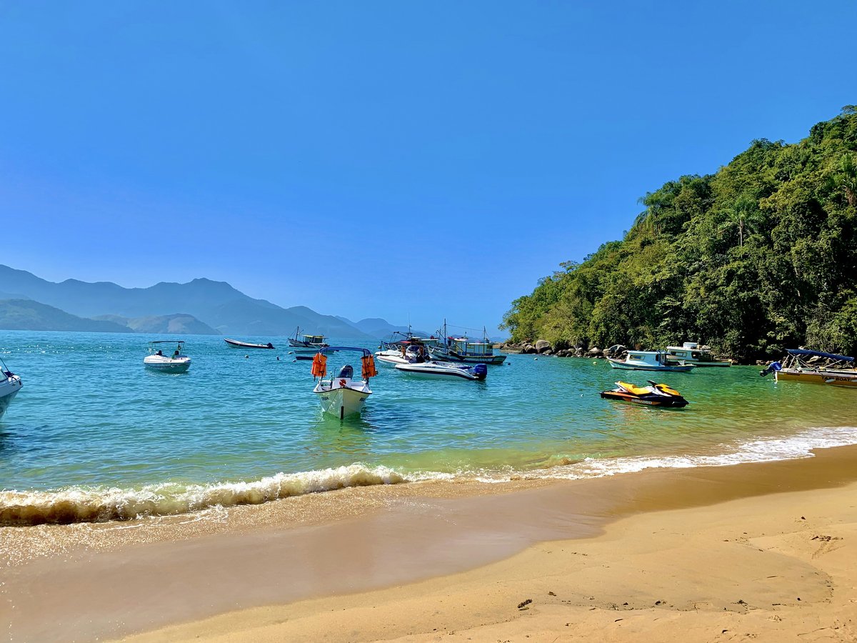 a beach with boats and people