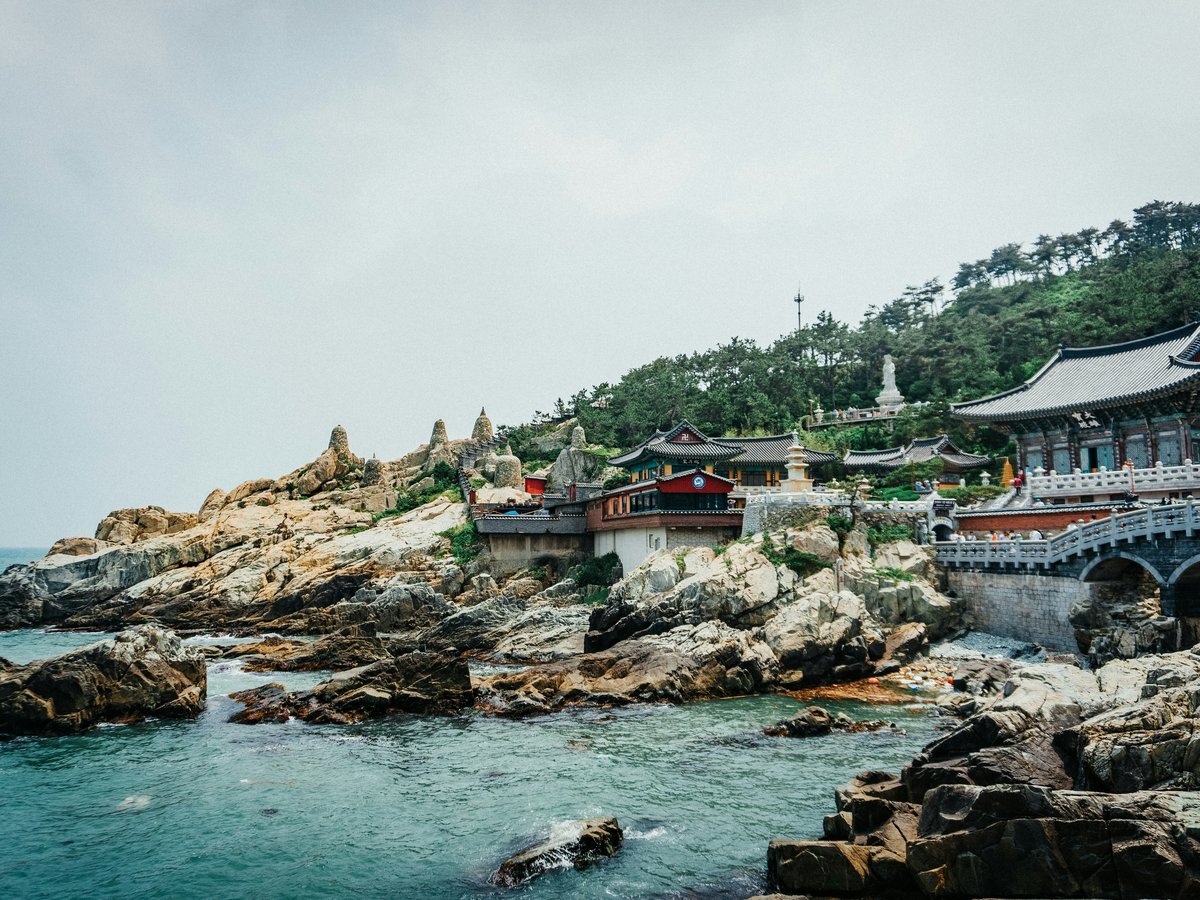 houses near body of water during daytime