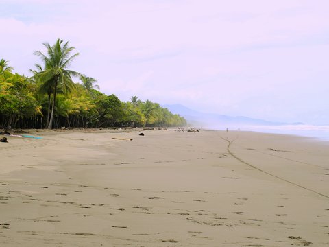 people on beach during daytime
