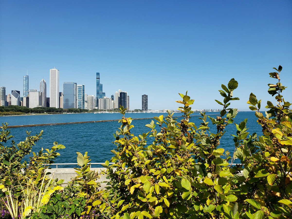 a view of a city from across the water
