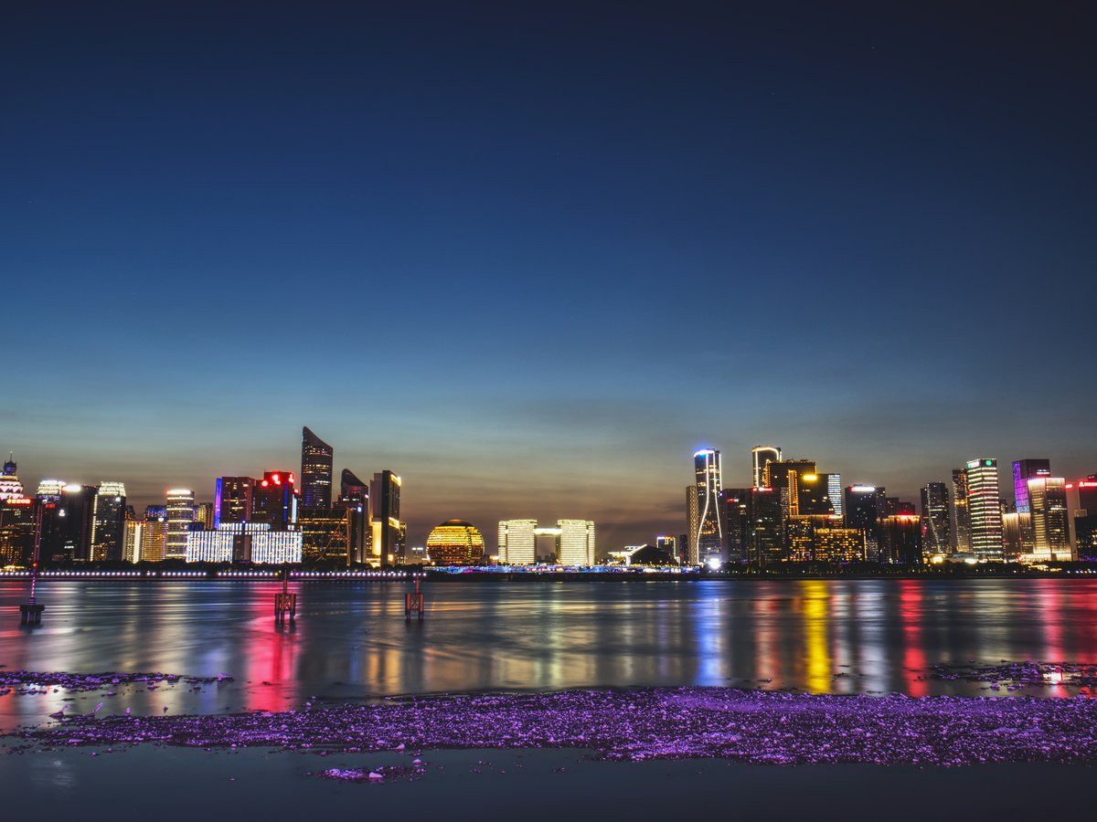 city skyline during night time