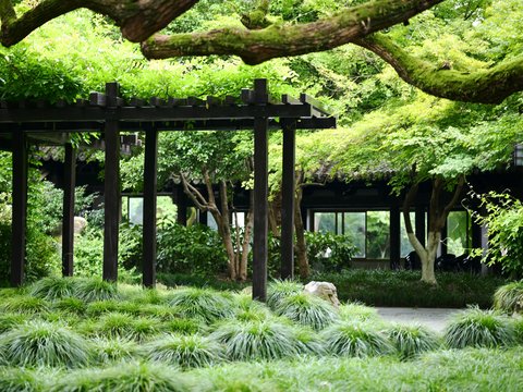 Lush green garden with traditional wooden structures and dense foliage.