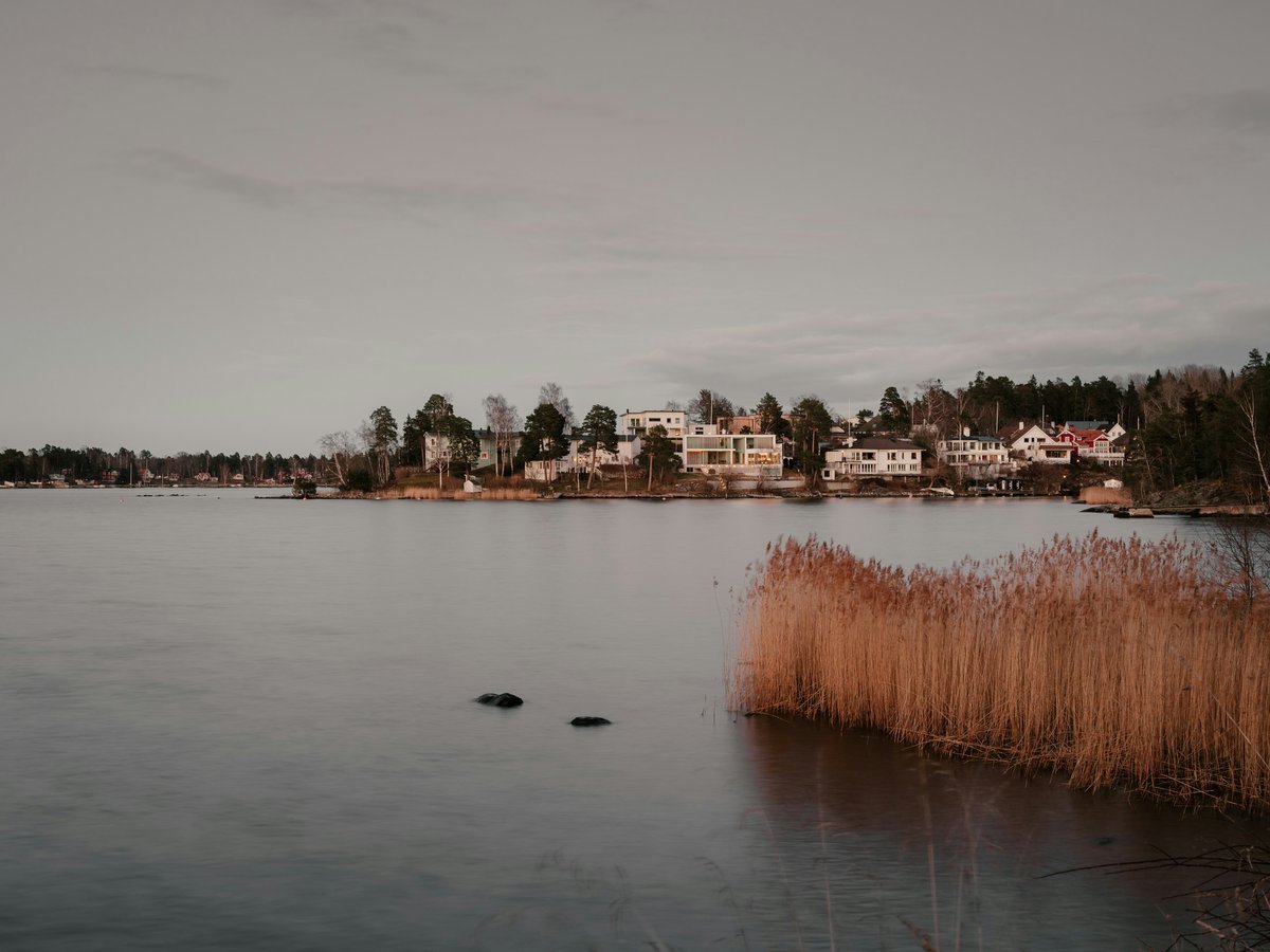 a body of water surrounded by trees and buildings