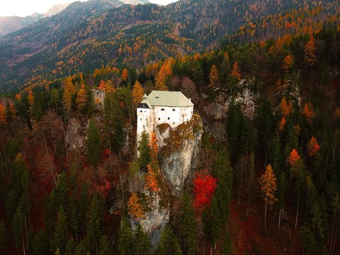 white concrete house on hill surrounded by pine trees