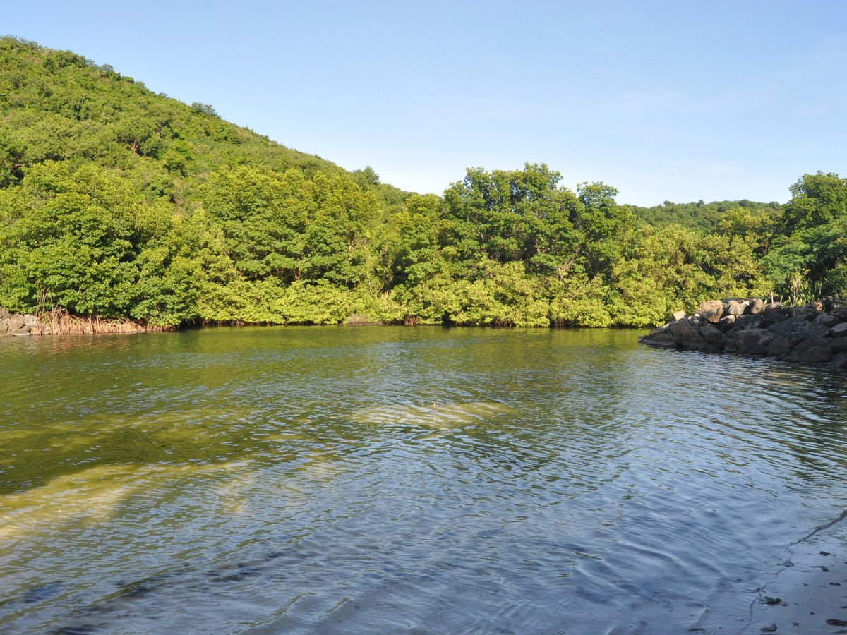 a body of water surrounded by trees and rocks