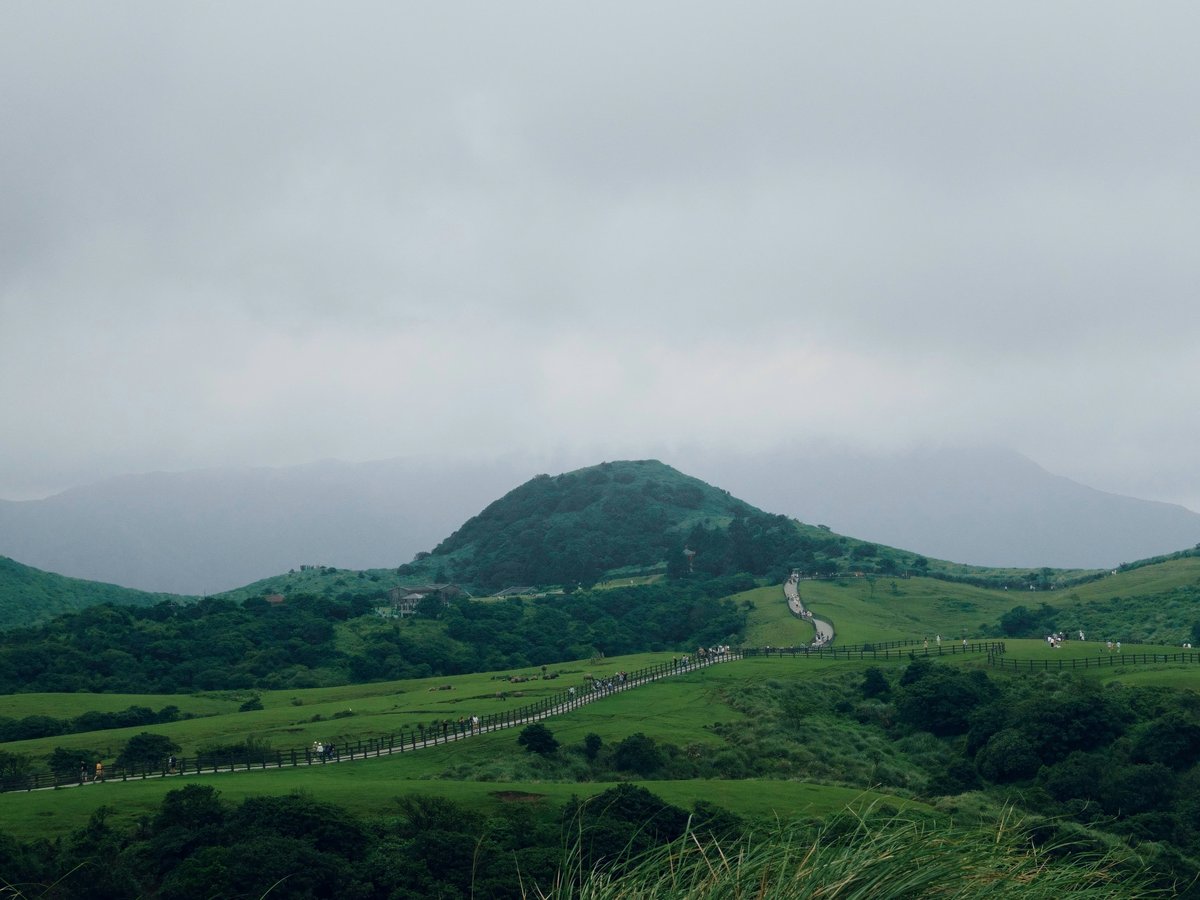 A lush green hillside covered in lots of trees