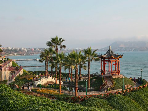 a view of the ocean with palm trees and a pagoda in the foreground