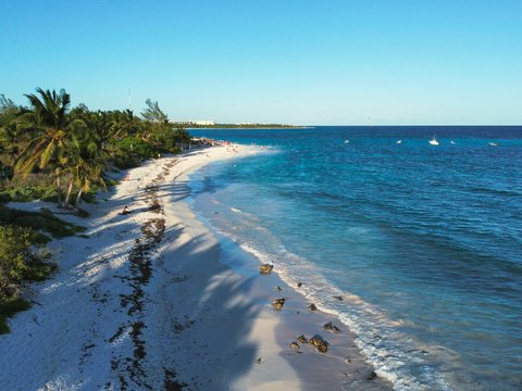 An aerial view of a beach and ocean