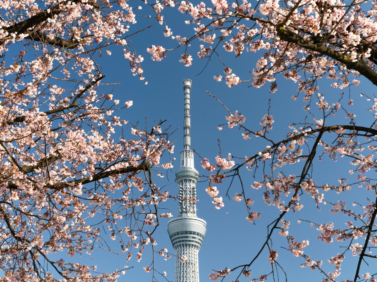 white and gray concrete tower under blue sky during daytime